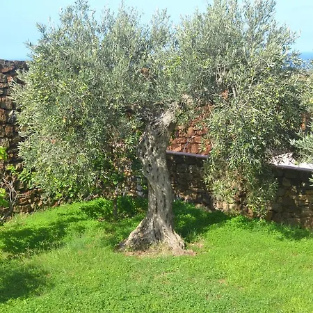 Lantgård Zinedi Pantelleria