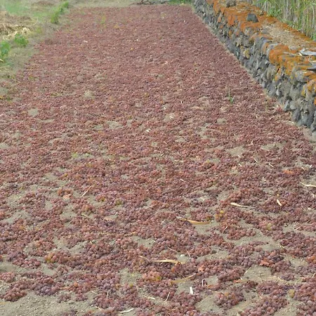 Lantgård Zinedi Pantelleria